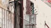 Balcony Railing Rust: अगर बारिश में जंग खा गई है बालकनी की रेलिंग तो ऐसे करें सफाई, दूर होगी पूरी गंदगी