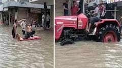 Rain: ઉત્તર ગુજરાતમાં આભ ફાટ્યું, ભાભરમાં 11 ઈંચ અને દિયોદરમાં 9.5 ઈંચ વરસાદથી જળબંબાકારની સ્થિતિ