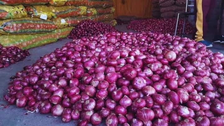 अगर आप इन तीनों में से किसी भी किस्म को चुनते हैं और सही तकनीक अपनाते हैं. तो मानसून में प्याज की पैदावार रिकॉर्ड तोड़ होगी. ऑफ-सीजन होने की वजह से इस दौरान मार्केट में प्याज के रेट काफी हाई रहते हैं, जिससे किसानों को अपनी लागत का कई गुना ज्यादा प्रॉफिट आसानी से मिल जाता है.