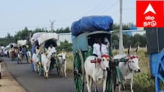 Madurai ; நவீன யுகத்திலும் மாறாத மரபு: 21 மாட்டு வண்டிகளில் அழகர்கோயில் யாத்திரை!