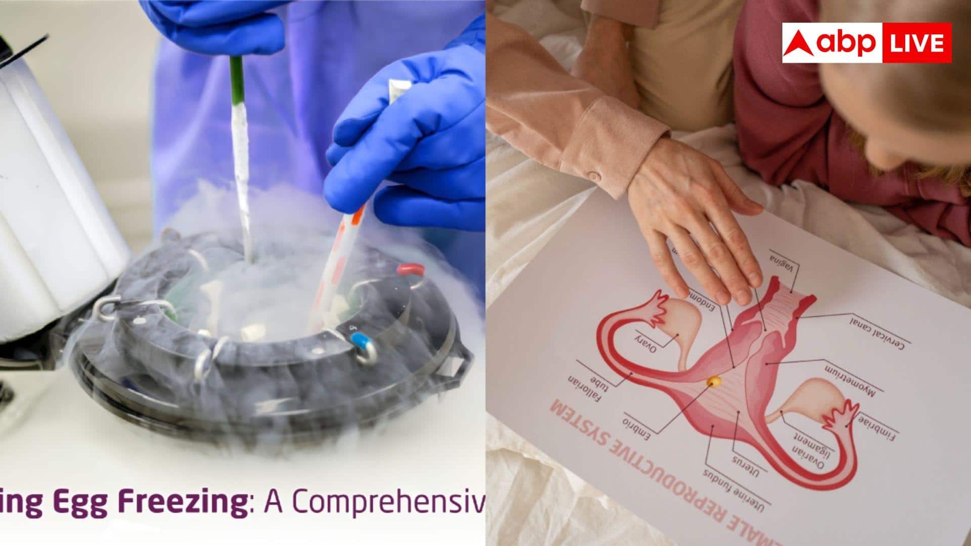 Egg Freezing VS IVF Treatment: मां बनने की प्लानिंग? Egg Freezing या IVF... क्या चुनें