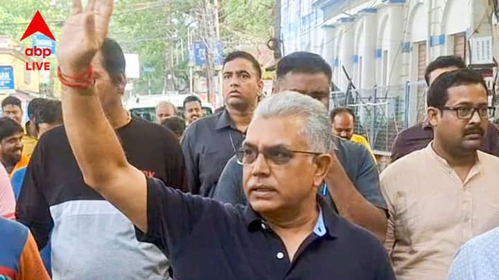 বিল পাস করতে ভোটাভুটি শুরু হয়। পঞ্চায়েতে সংশোধনীর পক্ষে পড়ল ১৬৯টি ভোট, বিপক্ষে ১৩। অনুপস্থিত ছিলেন ৩২ জন। ১৩ টি বিপক্ষের ভোটের মধ্যে মধ্যে ৯ জন কালীঘাটের বিধায়ক। বাকি ৪ টির মধ্যে নওশাদ, সিপিএম, আর কংগ্রেসের ২ ছিলেন। বিপুল ভোট পেয়ে শনিবার পাস হয়ে গেল পঞ্চায়েত সংশোধনী বিল।