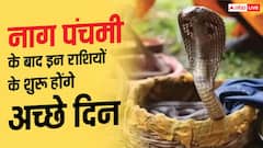 Nag Panchami 2026: नाग पंचमी के बाद इन राशियों के लिए खुल सकता है तरक्की का रास्ता