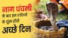 Nag Panchami 2026: नाग पंचमी के बाद इन राशियों के लिए खुल सकता है तरक्की का रास्ता