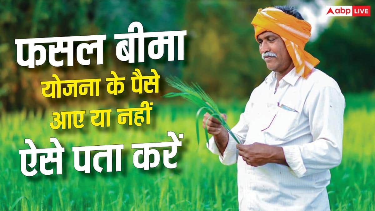 फसल बीमा योजना का पैसा आया या नहीं? घर बैठे ऐसे करें चेक