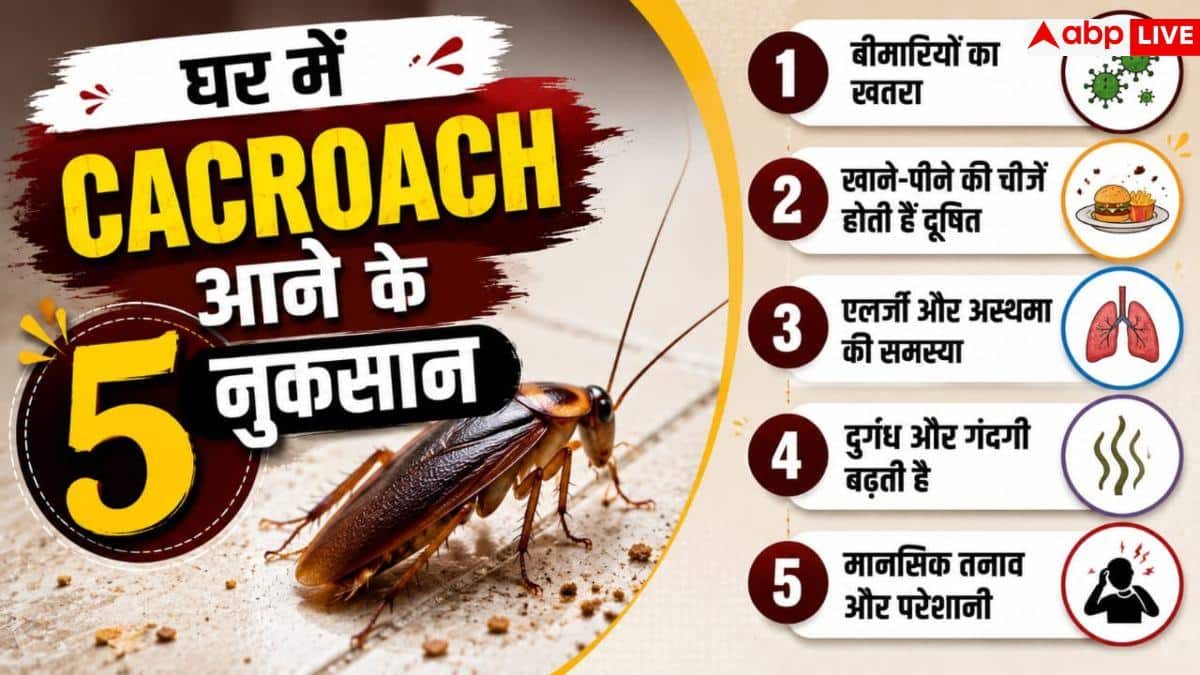Cockroach Removal Tips: किचन में बार-बार आ रहे कॉकरोच? अपनाएं ये असरदार हैक्स; तुरंत भागेंगे