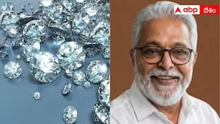 Diamond Merchant Kidnap: మాలిలో కిడ్నాపైన భారత వజ్రాల వ్యాపారి విడుదల.. రూ. 44 కోట్లు చెల్లించిన ఫ్యామిలీ!