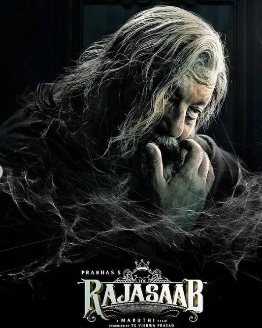 Sanjay Dutt has played the role of a powerful and dangerous villain in the film The Raja Saab. In this film, he is seen face to face with the character of lead actor Prabhas.
