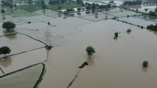 Gujarat rain live updates: મહેમદાવાદનું કુણા ગામ બેટમાં ફેરવાયું, હજારો વીઘા જમીન પાણીમાં ગરકાવ