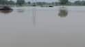 Ahmedabad Rain: મહેમદાવાદના કુણા ગામમાં ભારે વરસાદથી તારાજી, હજારો વીઘા જમીન પાણીમાં ગરકાવ