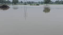 Ahmedabad Rain: મહેમદાવાદના કુણા ગામમાં ભારે વરસાદથી તારાજી, હજારો વીઘા જમીન પાણીમાં ગરકાવ