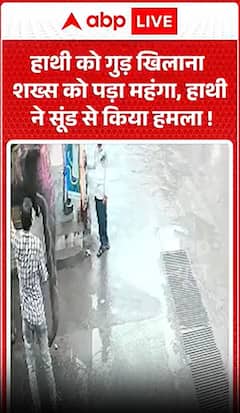 Viral Video: हाथी को गुड़ खिलाना शख्स को पड़ा महंगा, हाथी ने सूंड से किया हमला!