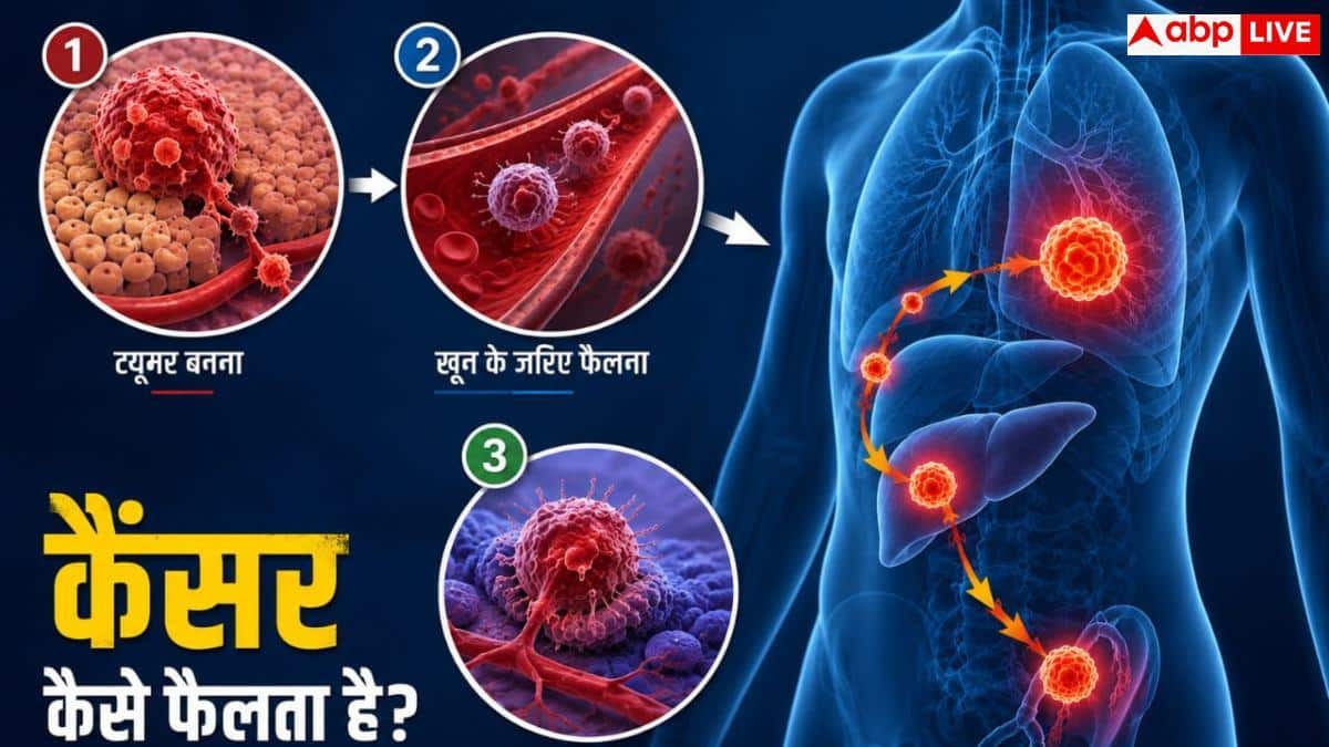 Transmissible Cancer: मछलियों में फैला दुर्लभ कैंसर, वैज्ञानिकों की बढ़ी चिंता