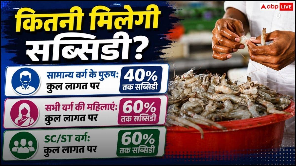 Bumper subsidy will be available on shrimp farming, apply like this