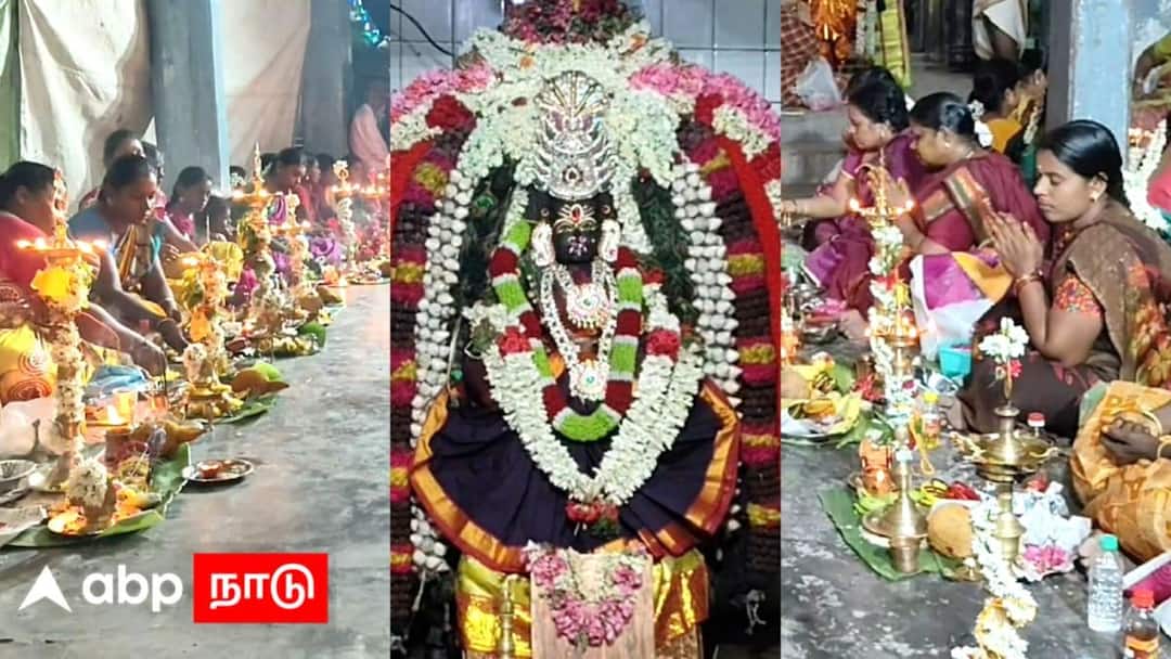 ஆடிப் பௌர்ணமியில் ஜொலித்த ஆக்கூர்! - நூற்றுக்கணக்கான பெண்கள் பங்கேற்ற பிரம்மாண்ட திருவிளக்கு பூஜை!