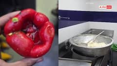 मुंबई के 5 क्लबों पर FDA का एक्शन, लाइसेंस सस्पेंड