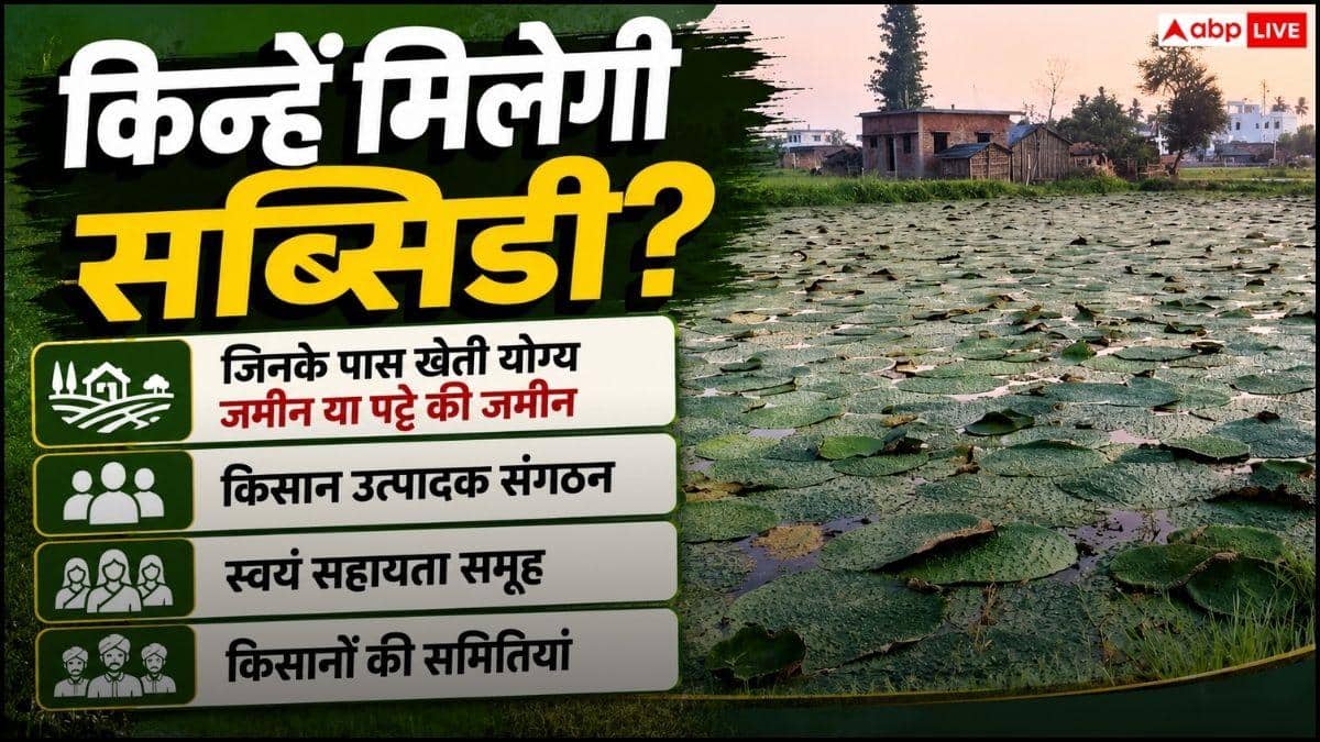 मखाना उगाने पर सरकार दे रही इतनी सब्सिडी, जान लें प्रोसेस