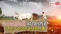बटाई पर खेती, क्या मिलेगी PM किसान की अगली किस्त?