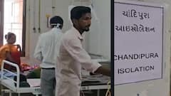 Chandipura Virus: ભાવનગર સિવિલમાં શંકાસ્પદ ચાંદીપુરા વાયરસના 3 કેસ નોંધાતાં હડકંપ, તંત્ર થયું દોડતું