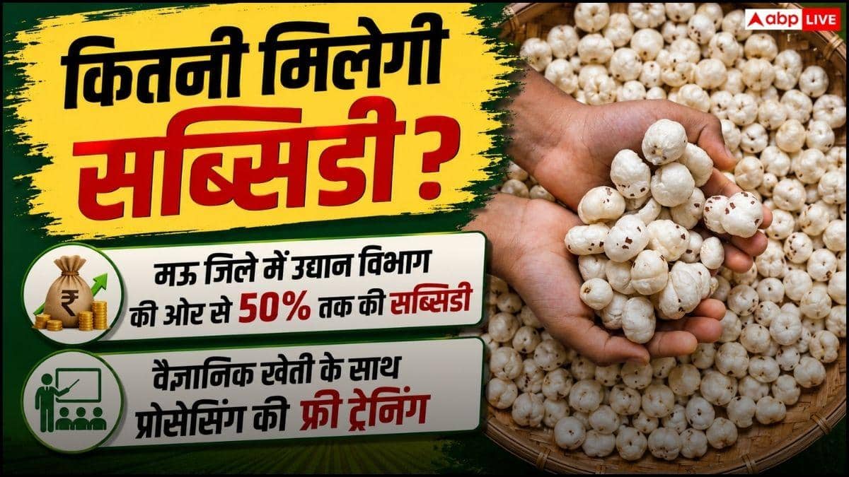 मखाना उगाने पर सरकार दे रही इतनी सब्सिडी, जान लें प्रोसेस