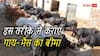 पशु बीमा योजना में गाय-भैंस का कराएं बीमा, जानें प्रोसेस