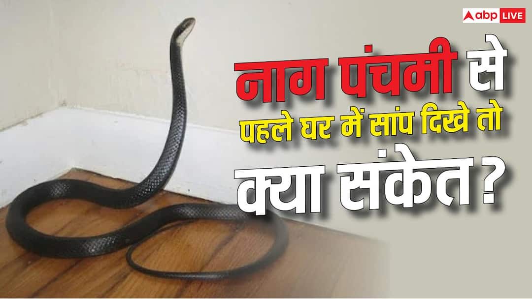 Nag Panchami 2026: Be careful if you see snakes in the house before Nag Panchami, know its meaning.