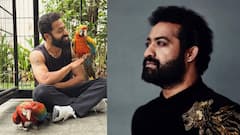 Jr NTR Suffers Shoulder Injury Ahead Of New Film, Doctors Recommend Six To Eight Weeks' Rest