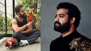 Jr NTR Suffers Shoulder Injury Ahead Of New Film, Doctors Recommend Six To Eight Weeks' Rest