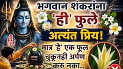 Lord Shiv: भगवान शंकरांना 'ही' फुले अत्यंत प्रिय! मात्र 'हे' एक फूल चुकूनही शिवलिंगाला अर्पण करू नका, कमी लोकांना माहित, धार्मिक महत्त्व...