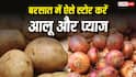 Potato Onion Storage Tips : बरसात में तेजी से सड़ते हैं आलू और प्याज, ऐसे करें स्टोर