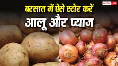 बरसात में तेजी से सड़ते हैं आलू और प्याज, ऐसे करें स्टोर