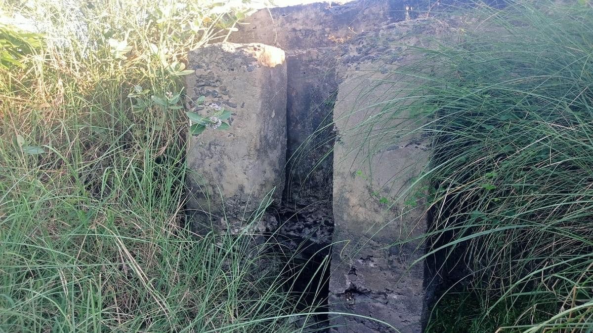 முட்செடிகள் விழுங்கிய வாய்க்கால்கள்... கண்ணீரில் தவிக்கும் பூதலூர் விவசாயிகள்