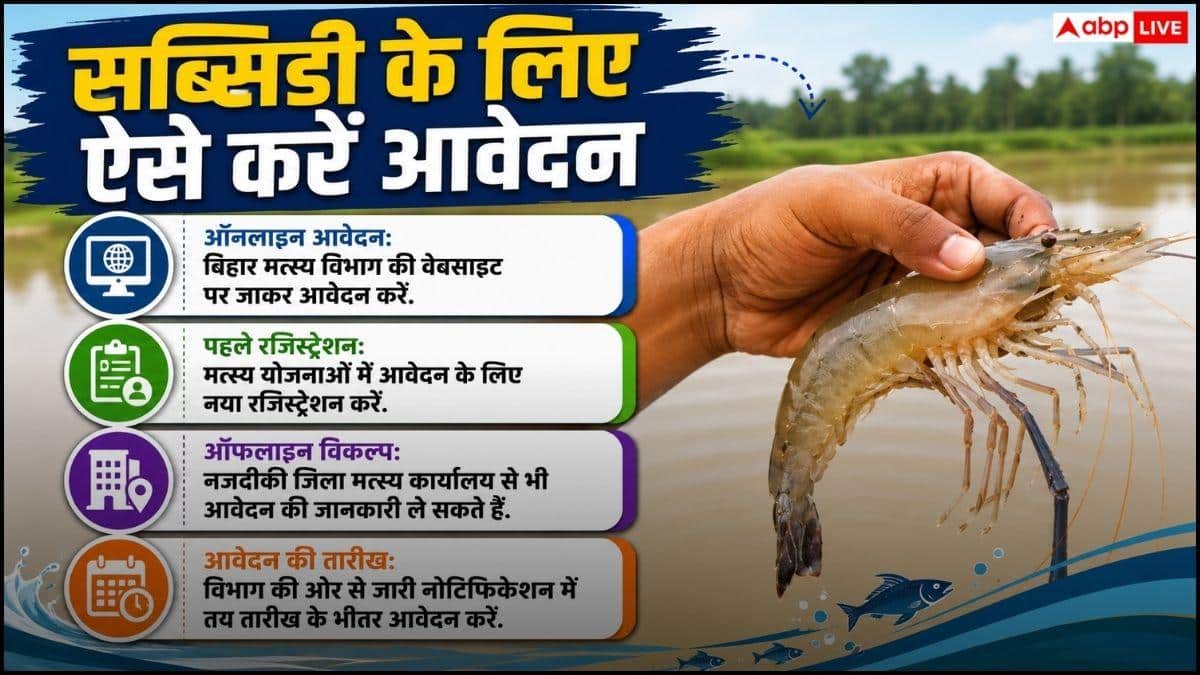 Bumper subsidy will be available on shrimp farming, apply like this