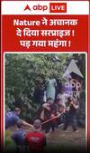 Viral Video: Nature ने अचानक दे दिया सरप्राइज, पड़ गया महंगा!