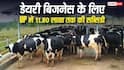 यूपी में डेयरी बिजनेस पर मिलेगी 11.80 लाख सब्सिडी, ऐसे करें आवेदन