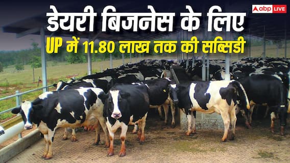 यूपी में डेयरी बिजनेस पर मिलेगी 11.80 लाख सब्सिडी, ऐसे करें आवेदन यूपी में डेयरी बिजनेस पर मिलेगी 11.80 लाख सब्सिडी, ऐसे करें आवेदन