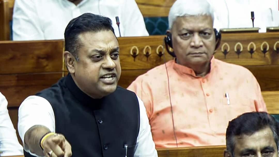 ‘Magistrate, Not Home Minister, Gives Orders’: BJP Rebuts Rahul Gandhi’s Claims On Police Action