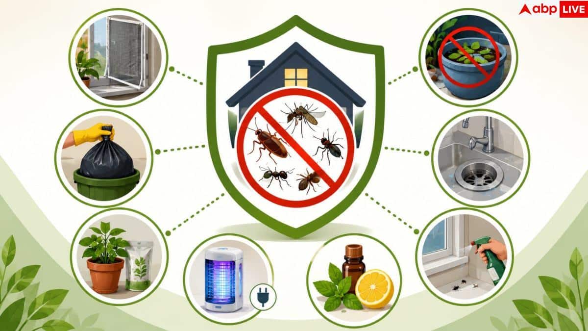 How To Keep Bugs Away: लाइट जलते ही घर में आते कीड़े? अपनाएं यह आसान ट्रिक 3 How To Keep Bugs Away: लाइट जलते ही घर में आते कीड़े? अपनाएं यह आसान ट्रिक