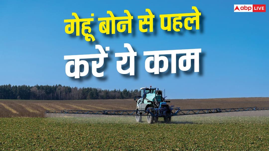 गेहूं बोने से पहले खेत में करें इस चीज का छिड़काव, कभी खराब नहीं होगी फसल गेहूं बोने से पहले खेत में करें इस चीज का छिड़काव, कभी खराब नहीं होगी फसल