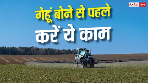 Wheat Farming Tips : गेहूं बोने से पहले खेत में करें इस चीज का छिड़काव, कभी खराब नहीं होगी फसल Wheat Farming Tips : गेहूं बोने से पहले खेत में करें इस चीज का छिड़काव, कभी खराब नहीं होगी फसल