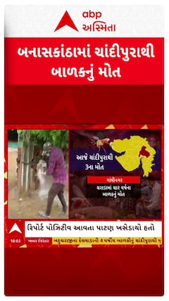 Chandipura Virus : બનાસકાંઠામાં ચાંદીપુરાથી બાળકનું મોત