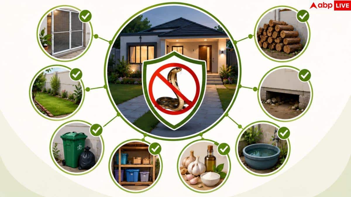 Snake Prevention Tips: बारिश में न आएं सांप, अपनाएं ये आसान टिप्स 3 Snake Prevention Tips: बारिश में न आएं सांप, अपनाएं ये आसान टिप्स