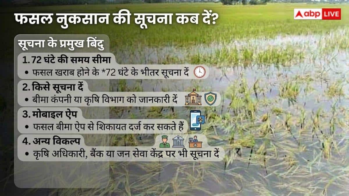 फसल नुकसान पर कैसे मिलेगा बीमा क्लेम? जानें तरीका