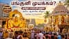 பங்குனி முயக்கம்? தமிழர் பாரம்பரியத்தின் அரிய ஆன்மிக விழா: தெரிந்து கொள்ளுங்கள்