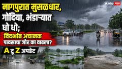 नागपुरात मुसळधार, गोंदिया, भंडाऱ्यात धो धो; विदर्भात अचानक पावसाचा जोर का वाढला?, A टू Z अपडेट
