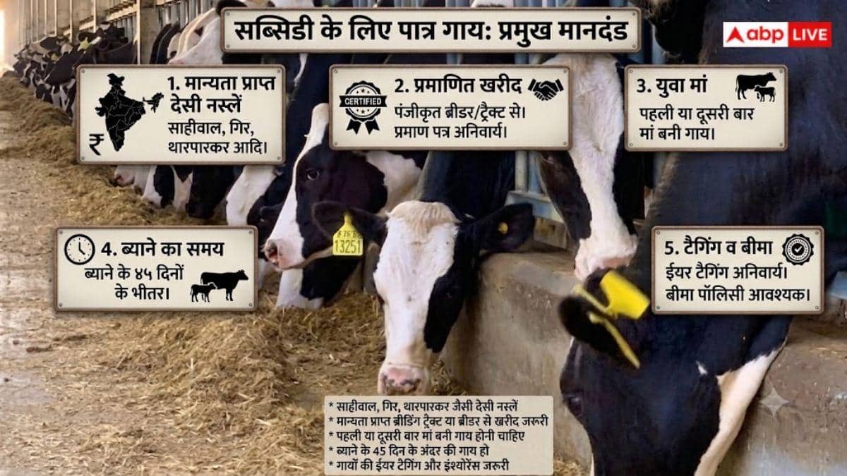 यूपी में डेयरी बिजनेस पर मिलेगी 11.80 लाख सब्सिडी, ऐसे करें आवेदन