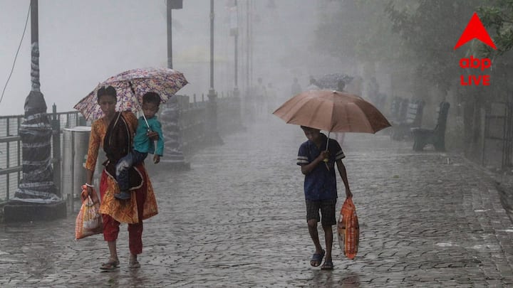 আগামীকাল থেকে আগামী সোমবার পর্যন্ত দক্ষিণবঙ্গে ভারী বৃষ্টির সম্ভাবনা কমবে বলেই জানিয়েছে আবহাওয়া দফতর। তবে বৃষ্টি না হলে বাড়বে আর্দ্রতাজনিত অস্বস্তি।