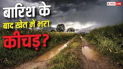 बारिश के बाद खेत में भर गया है कीचड़? ये गलती पड़ सकती है जान पर भारी