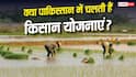 India vs Pakistan Agriculture Schemes : भारत की तरह क्या पाकिस्तान में भी चलती हैं किसान हितैषी योजनाएं?