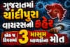 ગુજરાતમાં ચાંદીપુરા વાયરસનો કહેર: આજે એક જ દિવસમાં 3 માસૂમ બાળકોના મોતથી ફાળ પડી